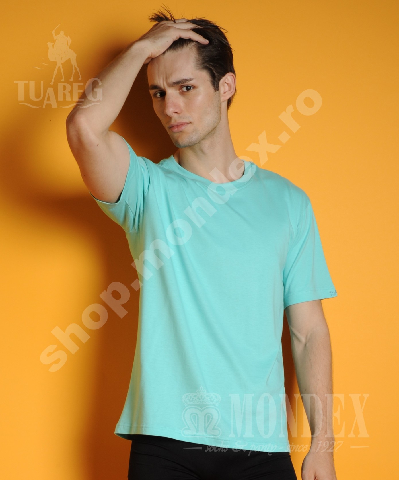 Tricou cu maneca scurta pentru barbati - 8002-1